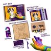 cumpără Set de creație Okto 20036 Pictură pe numere 3D cu plastilină ușoară 29x29сm, Pisica în Chișinău 