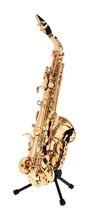 купить Духовой инструмент Stairville SCS-75 Curved Soprano Sax в Кишинёве 