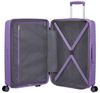 купить Чемодан Samsonite Diablast 68/25 TSA Exp Violet (159574/A989) в Кишинёве 