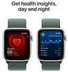 купить Смарт часы Apple Watch SE 2024 GPS 40mm Starlight Aluminium Case with Lake Green Sport Loop MXEH3 в Кишинёве 