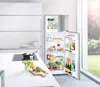 cumpără Frigider cu congelator sus Liebherr CTele 2531 în Chișinău 