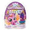 cumpără Jucărie Spin Master 6072752 Ou surpriză Hatchimals (în asort.) în Chișinău 