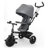 купить Велосипед-коляска KinderKraft Aston 2 Plus Grey (KRASTO02GRYPL00) в Кишинёве 