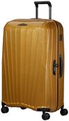 купить Чемодан Samsonite MAJOR-LITE (147120/2048) в Кишинёве 