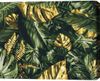 купить Картина по номерам BrushMe BS53704 40x50 cm (în cutie) Frunze de palmier в Кишинёве 