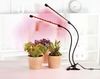 купить Настольная лампа Xavax 112697 Plant Lamp в Кишинёве 