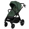 купить Детская коляска Lionelo Carucior 2in1 Layla Green Forest в Кишинёве 