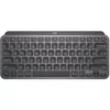 cumpără Tastatura Logitech Wireless MX Keys Mini Minimalis Graphite Illuminated Keyboard, Logitech Unifying 2.4GHz wireless technology, Bluetooth Low Energy, Rechargeable with USB type C, Graphite (920-010501) în Chișinău 