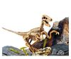 купить Набор для творчества Lisciani Giochi 47778 Set de joaca Velociraptor в Кишинёве 