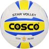 купить Мяч miscellaneous 50499 Cosco Volley Ball STAR4 в Кишинёве 