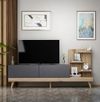 купить Тумба напольная для TV Trendy Dizayn (GTR000205) в Кишинёве 