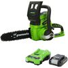 купить Пила Greenworks G24CS25 2000007UA (cu 2 acumulatori) в Кишинёве 