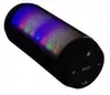 купить Колонка портативная Bluetooth Esperanza EP133K в Кишинёве 