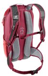купить Рюкзак спортивный Deuter Race 12 cherry-masala в Кишинёве 