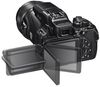 купить Фотоаппарат компактный Nikon Coolpix P1000 Black в Кишинёве 