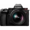 cumpără Aparat foto mirrorless Panasonic DC-S5M2KEE în Chișinău 