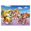 купить Пазл Clementoni Puzzle 2x20 Paw Patrol (24800) в Кишинёве 