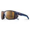 купить Защитные очки Julbo SHIELD BLUE RV HM2-4 в Кишинёве 