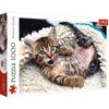 купить Головоломка Trefl 10448 Puzzle 1000 Cheerful kitten в Кишинёве 