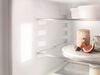 купить Встраиваемый холодильник Liebherr IRe 4100 в Кишинёве 