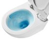 cumpără Vas WC Nomi 125714 Oro Tornado подвесной, микролифт быстросъемное UF în Chișinău 