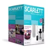 cumpără Blender de mână Scarlett SC-HB42F47 în Chișinău 