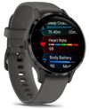 купить Смарт часы Garmin Venu 3S Pebble Gray/Slate (010-02785-00) в Кишинёве 