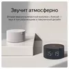 cumpără Boxă portativă Bluetooth Yandex YNDX-00020G Alisa Station Mini Gray în Chișinău 