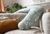 купить Подушка для мам Beaba B915062 Big Flopsy 170cm Nature в Кишинёве 