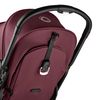 купить Детская коляска Bugaboo BG100025046 Butterfly Black/Dark Cherry в Кишинёве 