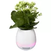 купить Колонка портативная Bluetooth Helmet Flowerpot White в Кишинёве 