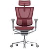 купить Офисное кресло ART Mirus IOO Elite 2 Scarlet T-168-B3 IOOE2-AG-HAM-5D-L в Кишинёве 