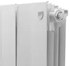купить Радиатор Royal Thermo PianoForte500 / Bianco Traffico 1 secțiune (x10) в Кишинёве 