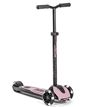 cumpără Trotinetă Scoot&Ride 00011 Highway Kick 5 Led Rose în Chișinău 
