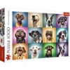 cumpără Puzzle Trefl 10462 Puzzle 1000. Ciinisorii în Chișinău 