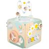cumpără Sortator Janod J04060 Cub cu activitati Sweet Cocoon în Chișinău 