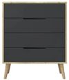 купить Комод Trendy Flora-Sapphire Oak, Anthracite, 78x95x45cm (GTR008149) в Кишинёве 