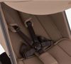 cumpără Сărucior pentru copii Anex AQ-01 Air-Q Karamell în Chișinău 