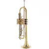 cumpără Instrument muzical de suflat Startone STR 25 trompeta în Chișinău 