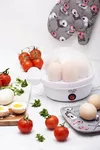 купить Яйцеварка Adler AD 4459 в Кишинёве 