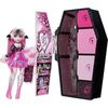 купить Кукла Mattel HNF73 Monster High в Кишинёве 