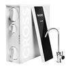 купить Фильтр проточный для воды Ecosoft 47EK0600 Sistem cu osmoza inversa Ecosoft Cross90 в Кишинёве 
