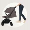 купить Детская коляска Lionelo Sia Beige Taupe в Кишинёве 