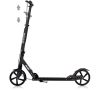 купить Самокат Chipolino DSRID0261BK Rider black до 100кг в Кишинёве 