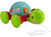 купить Игрушка каталка Fisher Price Y8652 Pull Along Turtle в Кишинёве 
