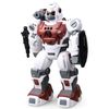 купить Радиоуправляемая игрушка New World BG1531 Интерактивный робот Surpass, 602027 в Кишинёве 