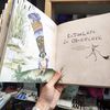 купить Книга, найденная в кувшинке - Дорошева Светлана в Кишинёве 