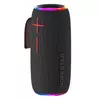 купить Колонка портативная Bluetooth Hopestar P35, 20W, Black в Кишинёве 