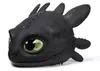купить Игрушка Spin Master 6072832 Masca interactivă Toothless в Кишинёве 