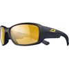 купить Защитные очки Julbo WHOOPS MATT BLACK ZEBRA в Кишинёве 